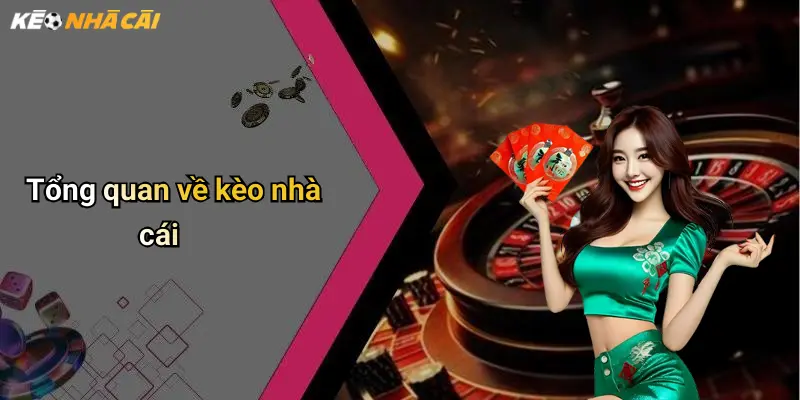 Tổng quan về kèo nhà cái
