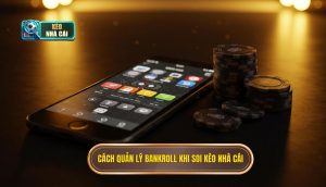 Cách quản lý bankroll khi soi kèo nhà cái