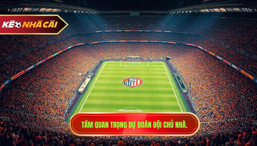 Tầm quan trọng dự đoán đội chủ nhà.