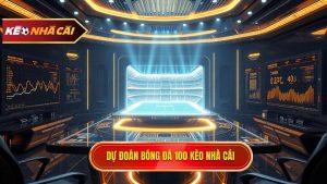 Dự đoán bóng đá chính xác 100