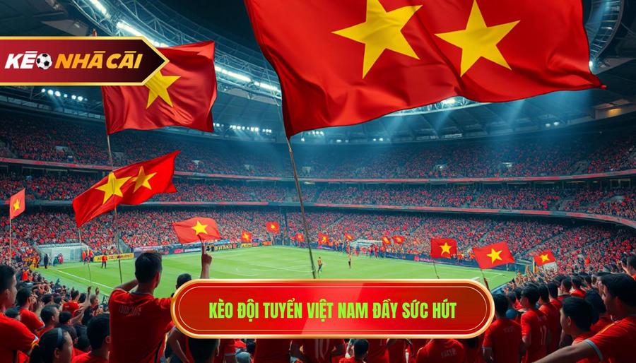 1. Kèo đội tuyển Việt Nam đầy sức hút