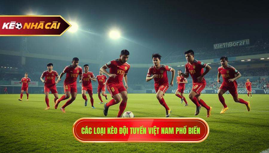 2. Các loại kèo đội tuyển Việt Nam phổ biến